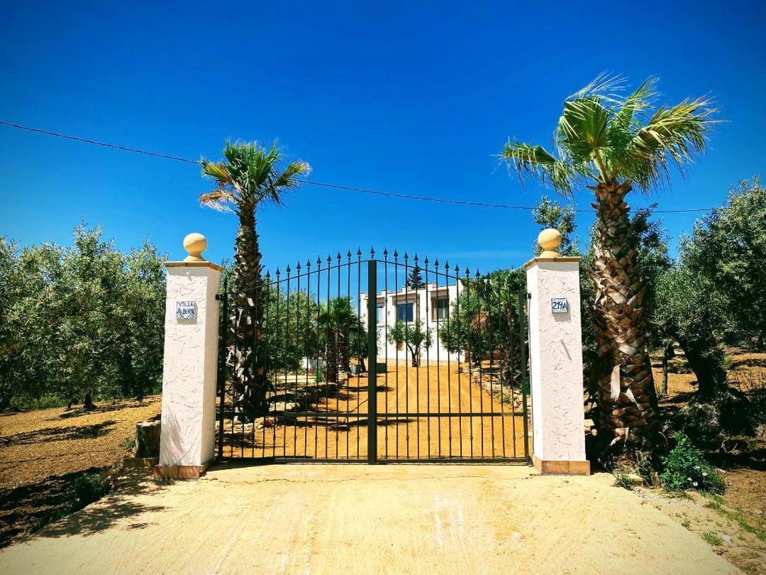 villa immersa in oliveto Sciacca Exteriör bild