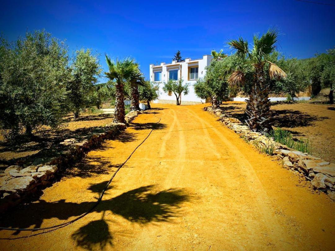 villa immersa in oliveto Sciacca Exteriör bild