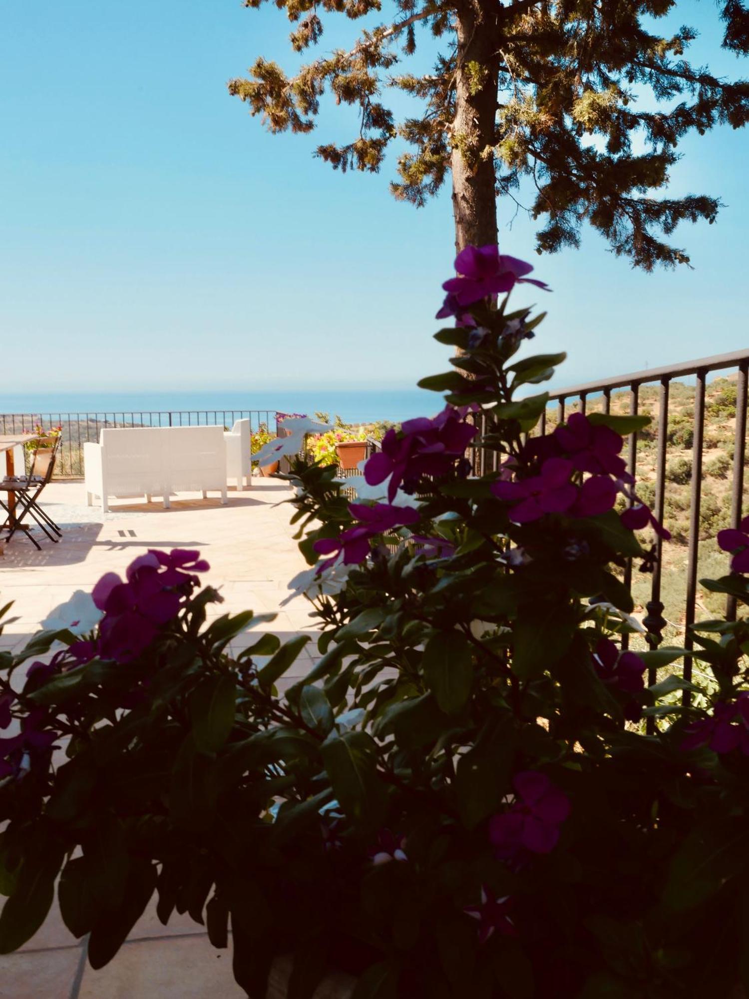 villa immersa in oliveto Sciacca Exteriör bild