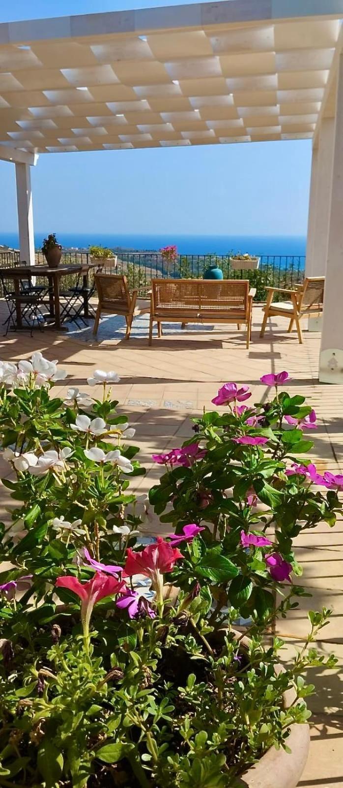 villa immersa in oliveto Sciacca Exteriör bild