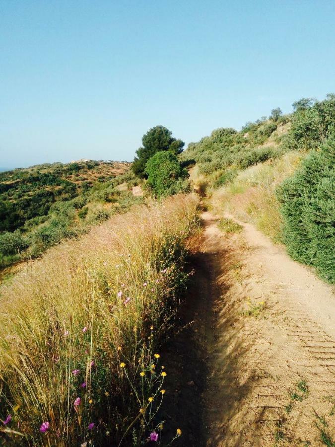 villa immersa in oliveto Sciacca Exteriör bild